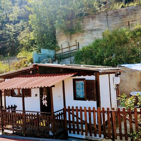 Bungalow Sixdays 2 Camporosso  Zewnętrze zdjęcie