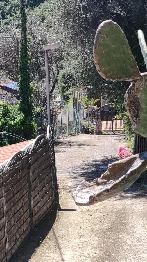 Bungalow Sixdays 2 Camporosso  Zewnętrze zdjęcie